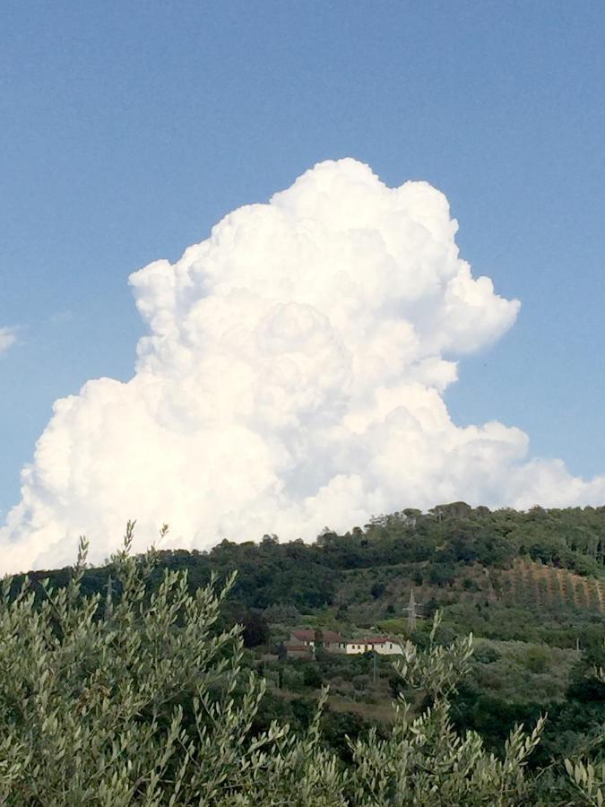 Il Podere La Casina Monsummano Terme ภายนอก รูปภาพ