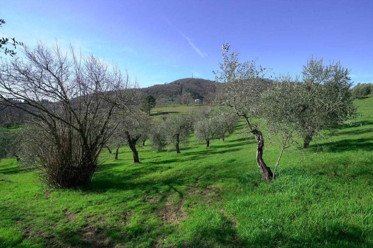 Il Podere La Casina Monsummano Terme ภายนอก รูปภาพ