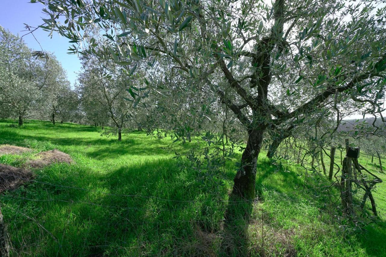 Il Podere La Casina Monsummano Terme ภายนอก รูปภาพ