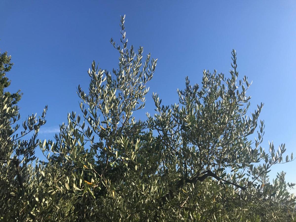 Il Podere La Casina Monsummano Terme ภายนอก รูปภาพ