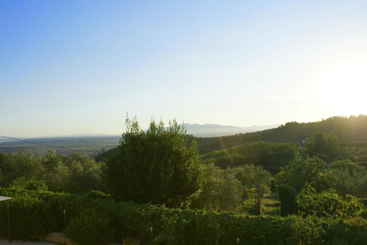 Il Podere La Casina Monsummano Terme ภายนอก รูปภาพ