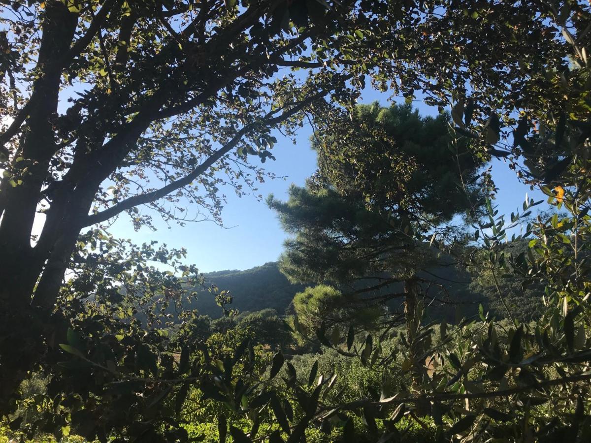 Il Podere La Casina Monsummano Terme ภายนอก รูปภาพ