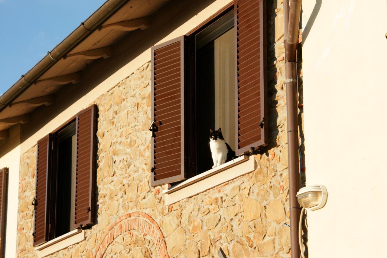 Il Podere La Casina Monsummano Terme ภายนอก รูปภาพ