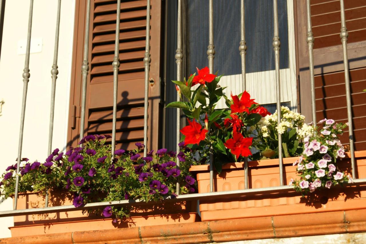 Il Podere La Casina Monsummano Terme ภายนอก รูปภาพ
