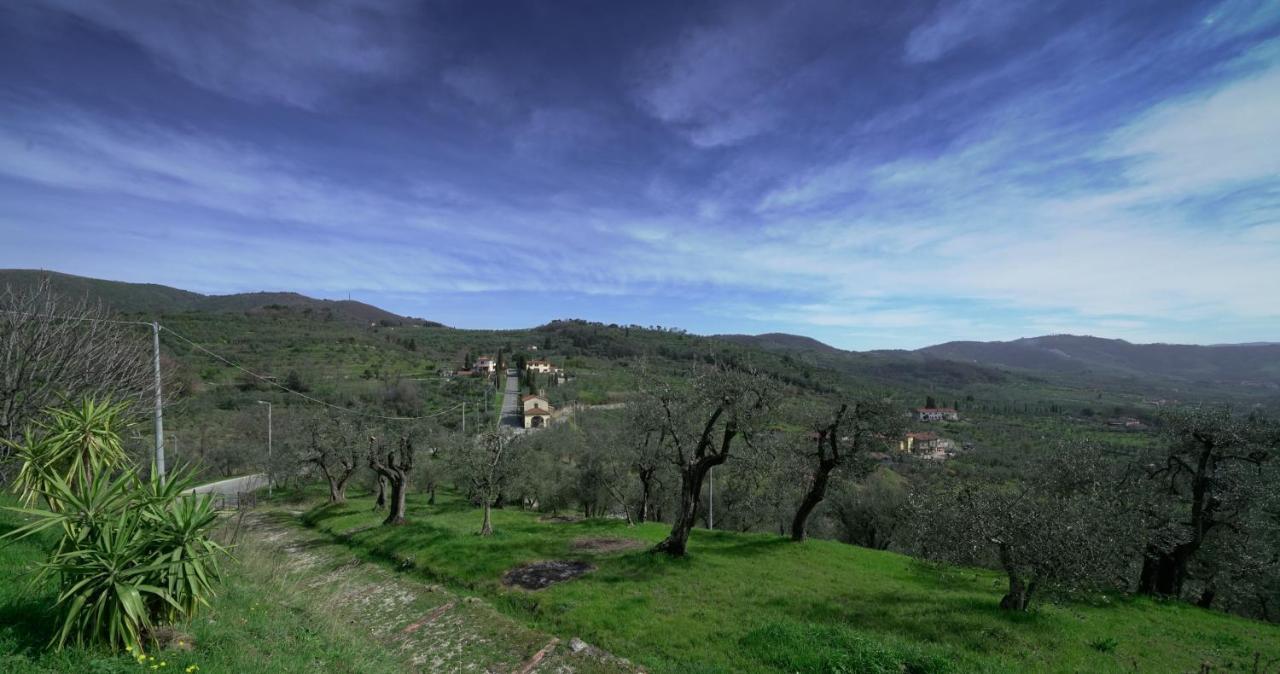 Il Podere La Casina Monsummano Terme ภายนอก รูปภาพ